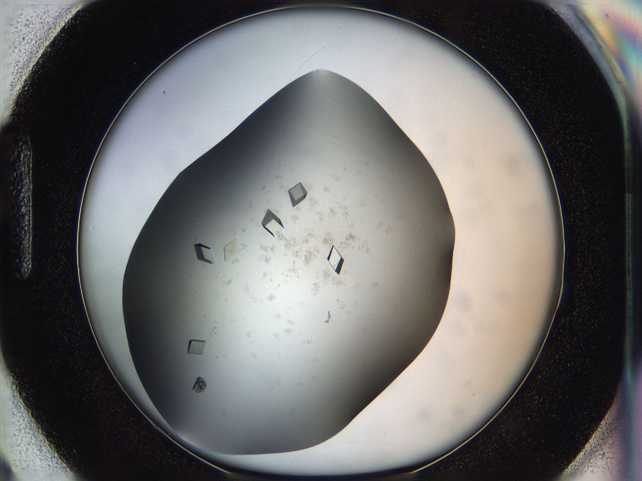 05g1_H3_ImagerDefaults_8.jpg