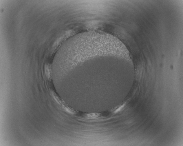 X0000054170335200508101806.png