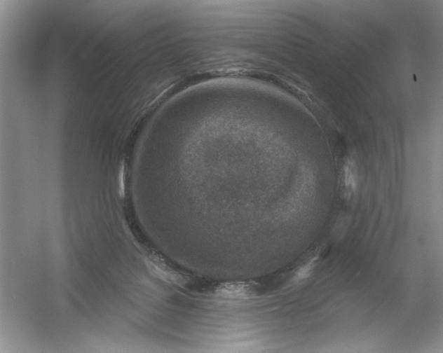 X0000054300076200508042321.png