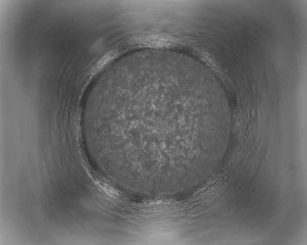 X0000055060679200508161646.png