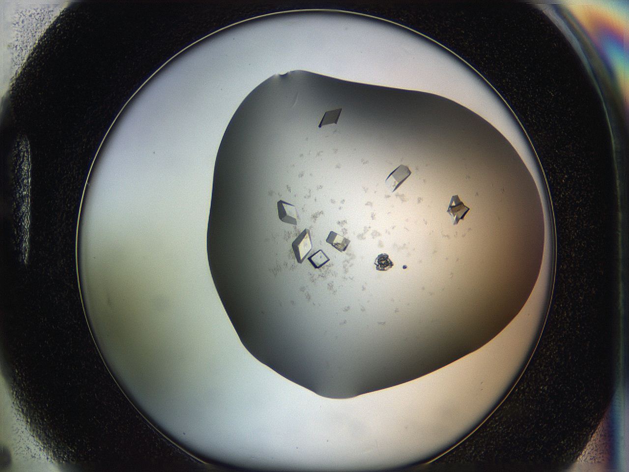 05g1_H5_ImagerDefaults_9.jpg