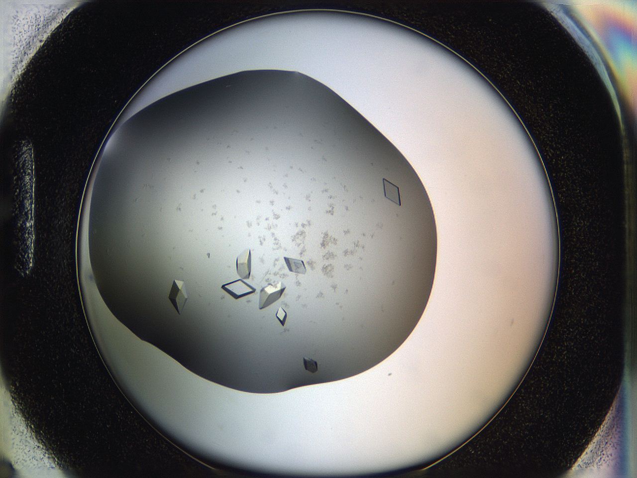05g1_H6_ImagerDefaults_9.jpg