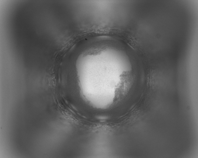 X0000052281154200507132021.png