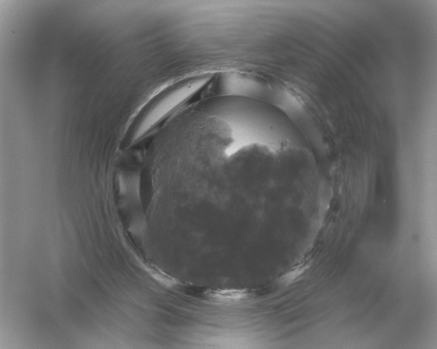 X0000054350156200508190137.png