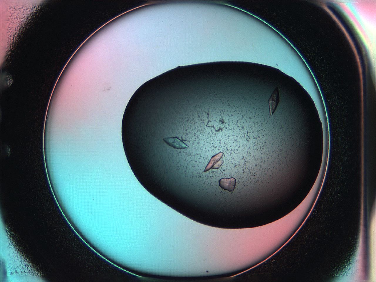 05g3_E4_ImagerDefaults_8.jpg
