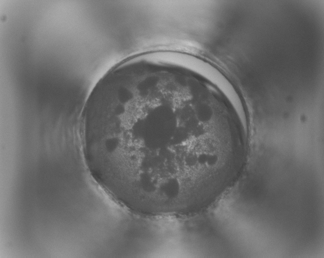 X0000051600907200507052018.png