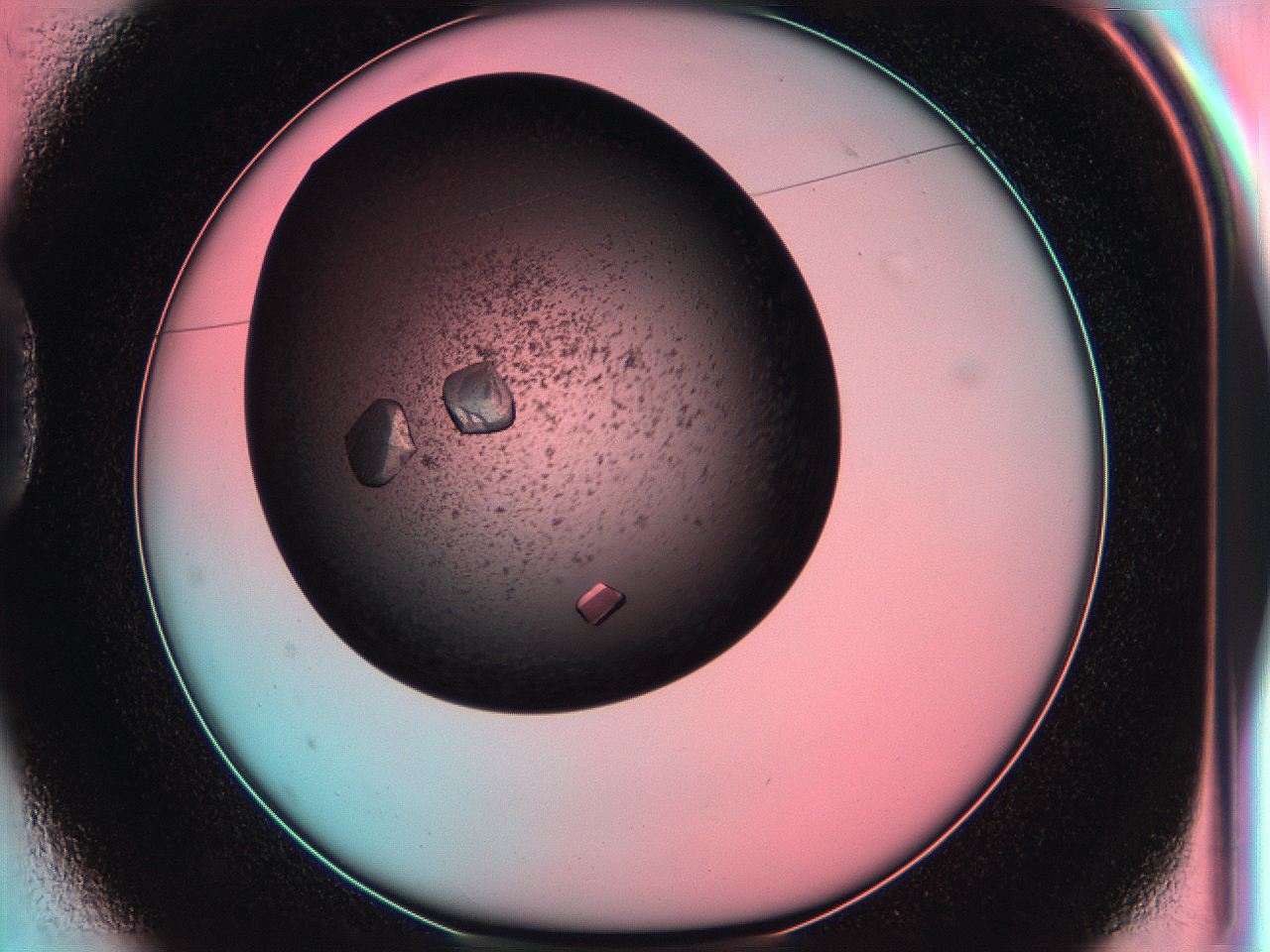 05g3_D1_ImagerDefaults_8.jpg