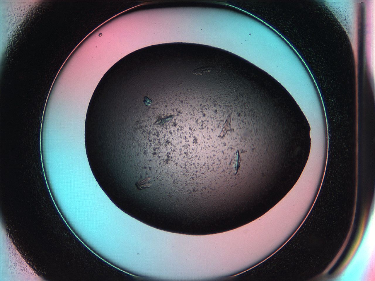 05g3_E1_ImagerDefaults_8.jpg