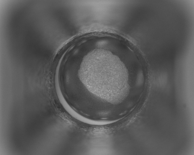 X0000052280826200507132026.png
