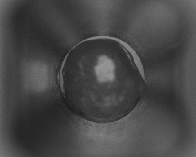 X0000044230047200501101649.png