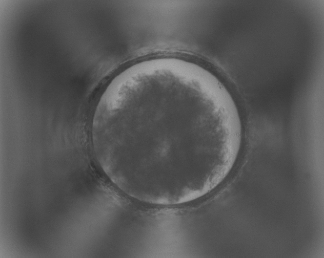 X0000054931211200508291623.png