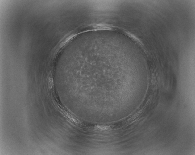 X0000055061407200508161633.png