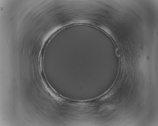 X0000054171127200508101753.png