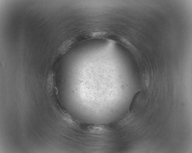 X0000054330475200508111924.png