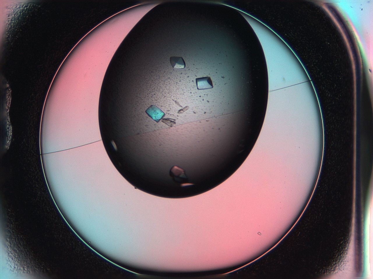 05g3_B1_ImagerDefaults_9.jpg