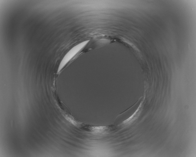 X0000054350192200508190138.png