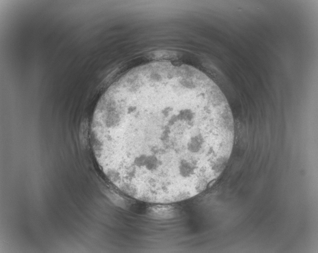 X0000054270189200508261926.png