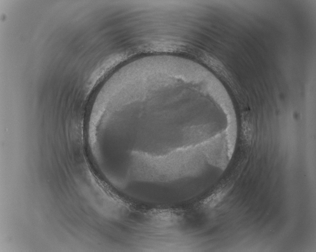 X0000054170534200508101802.png