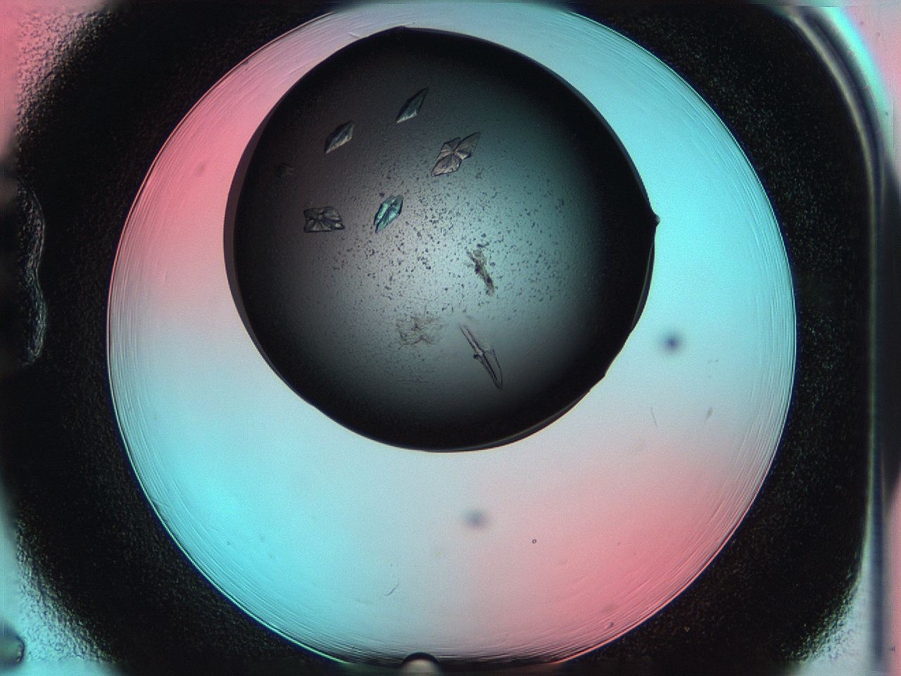 05g3_B6_ImagerDefaults_8.jpg