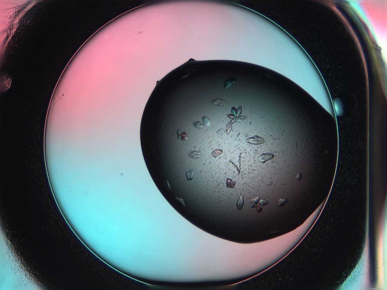05g3_F1_ImagerDefaults_8.jpg