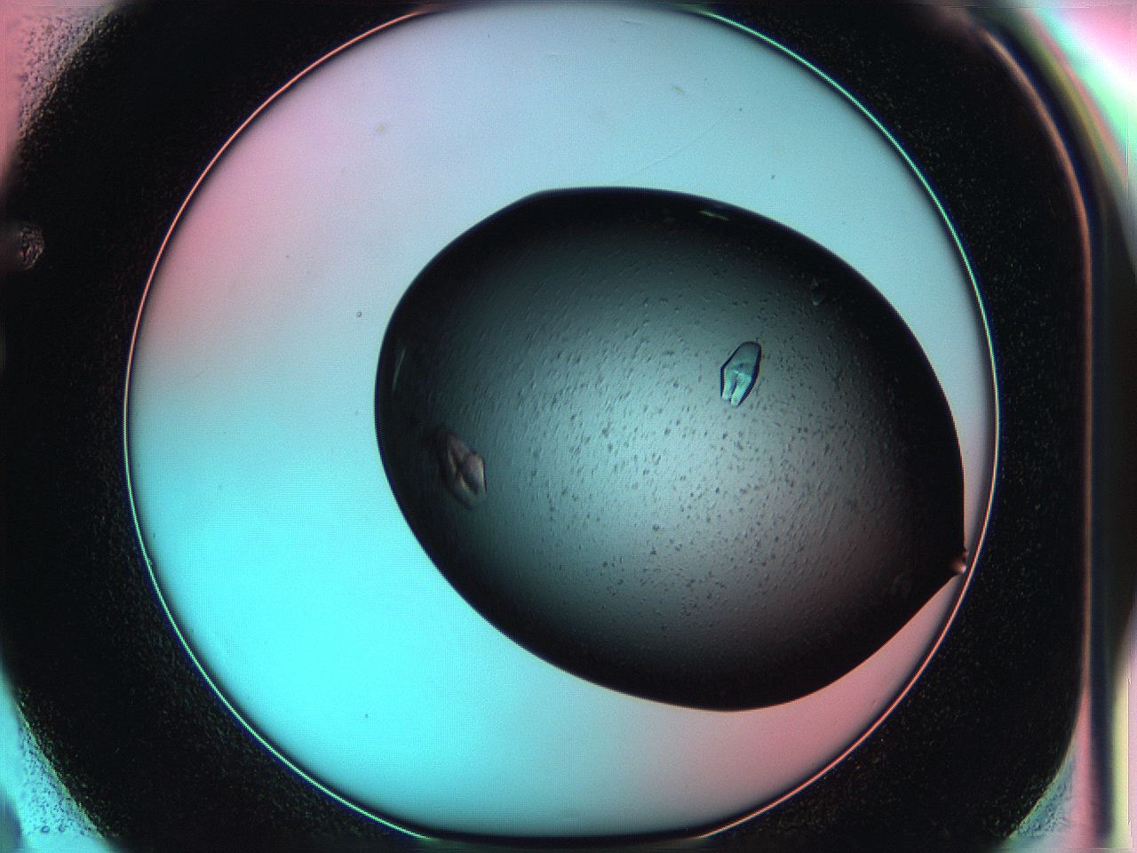 05g3_F2_ImagerDefaults_8.jpg