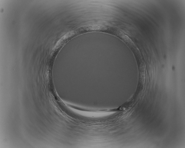 X0000054170207200508101808.png