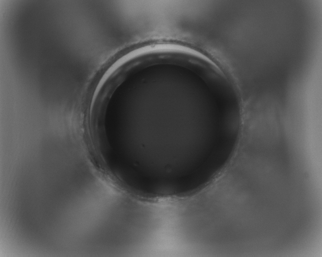 X0000054730060200508171902.png