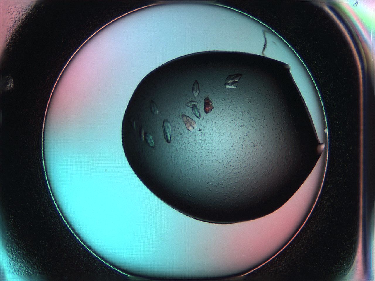 05g3_F4_ImagerDefaults_8.jpg