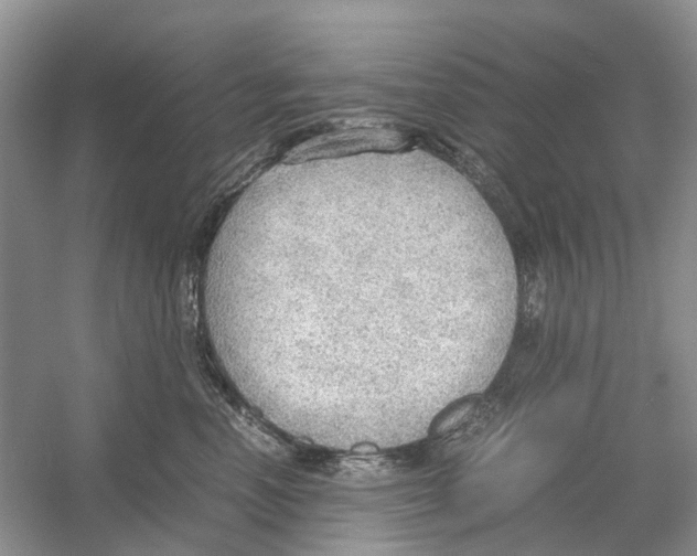 X0000054270666200508261917.png