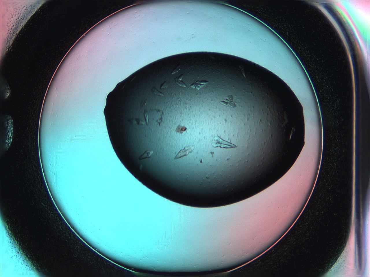 05g3_G1_ImagerDefaults_7.jpg