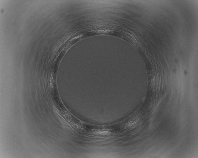 X0000054170643200508101800.png