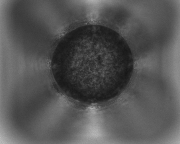 X0000054730662200508171853.png