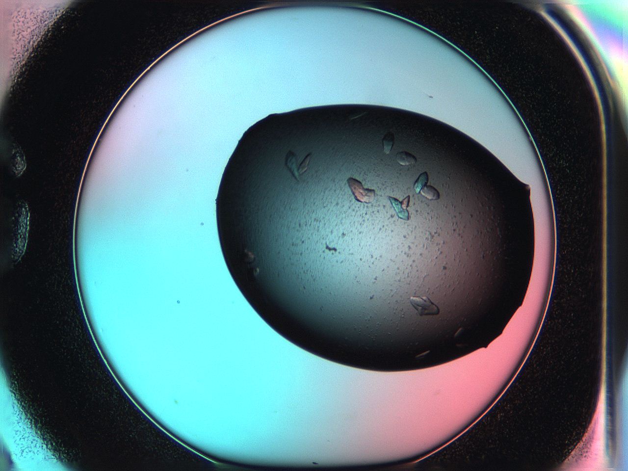 05g3_G3_ImagerDefaults_7.jpg
