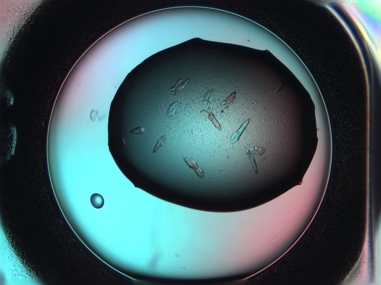 05g3_G4_ImagerDefaults_7.jpg