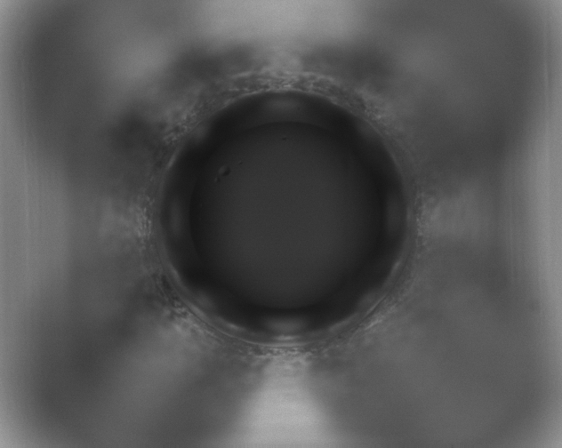 X0000054731110200508171844.png