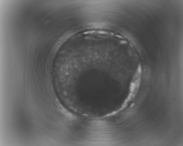 X0000053460577200508112159.png
