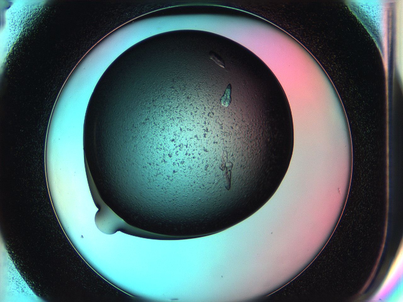 05g3_G4_ImagerDefaults_9.jpg