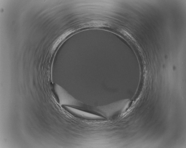 X0000054171081200508101753.png
