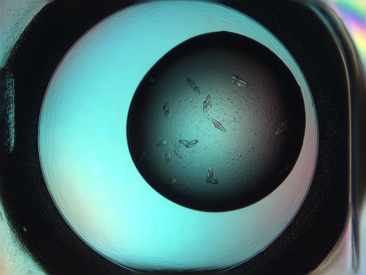 05g3_H1_ImagerDefaults_7.jpg