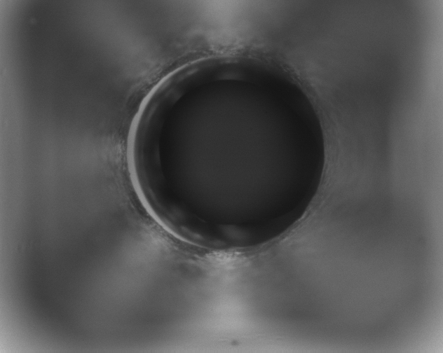 X0000054730480200508171856.png