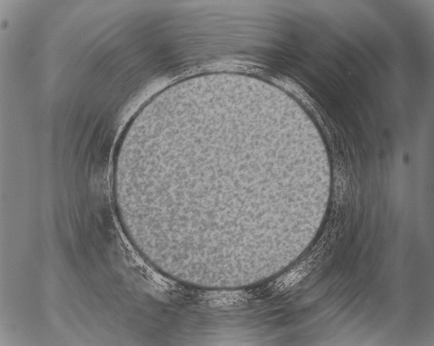X0000054580902200508300057.png