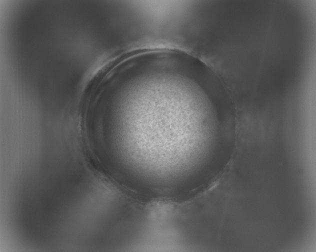 X0000054110343200508022105.png