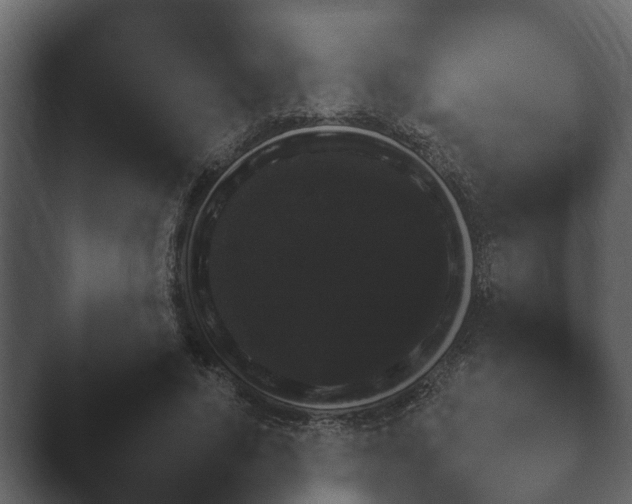 X0000047500640200503161514.png