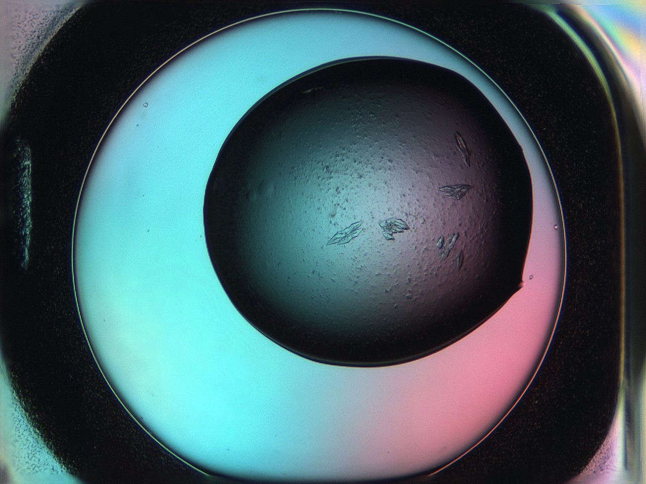 05g3_H4_ImagerDefaults_7.jpg