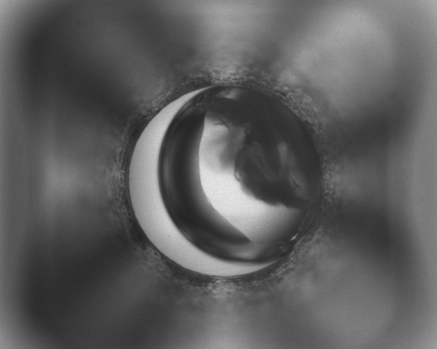X0000045390419200501241407.png
