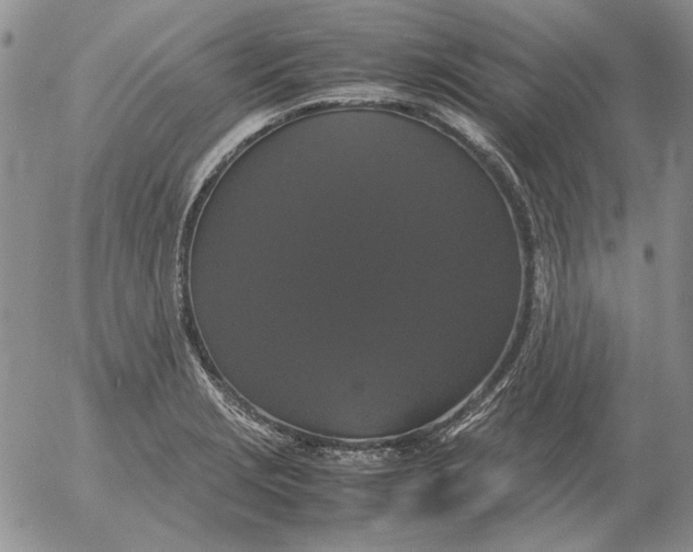 X0000054171229200508101751.png