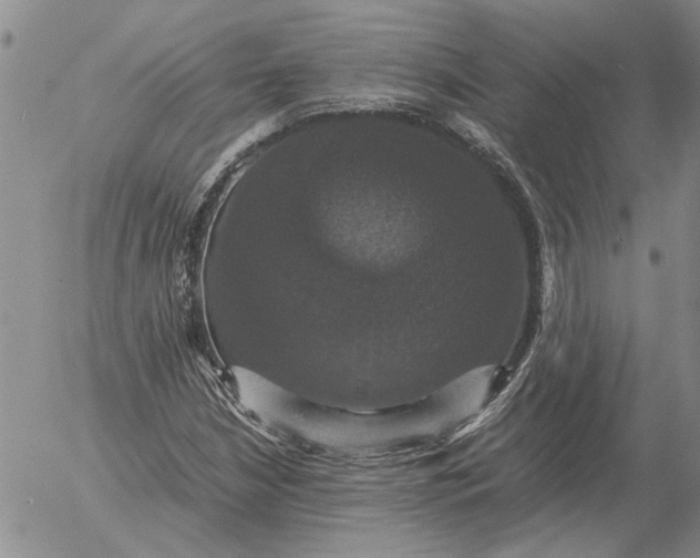 X0000054171210200508101751.png