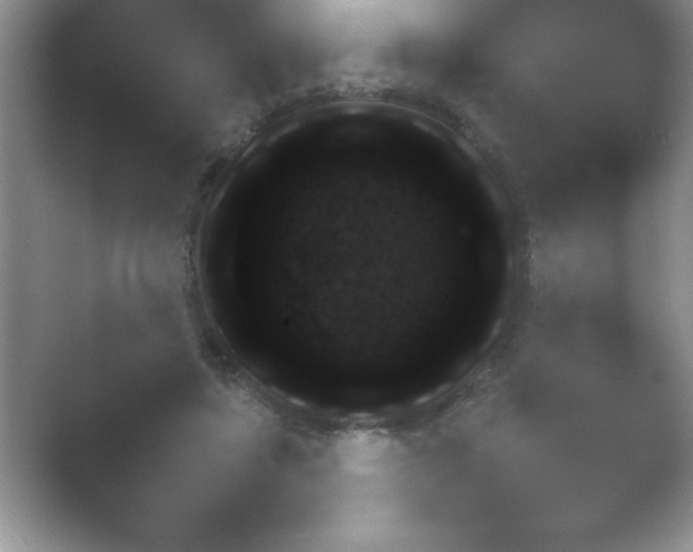 X0000054730451200508171856.png