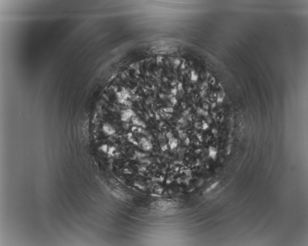 X0000053460745200508112157.png