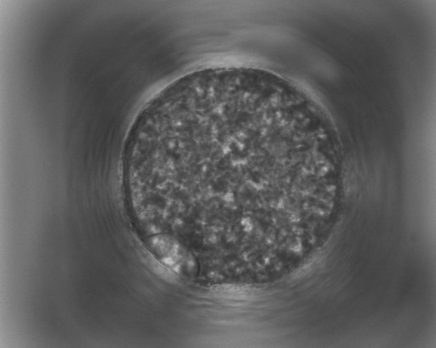 X0000053460831200508112155.png